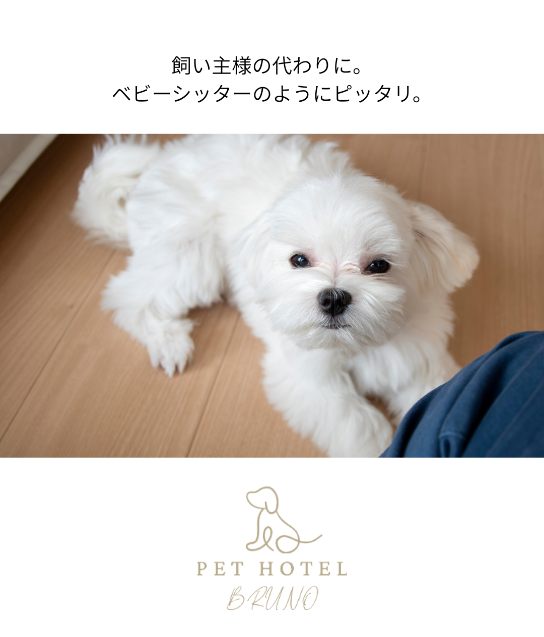 お気に入りのタオルケットで安心。