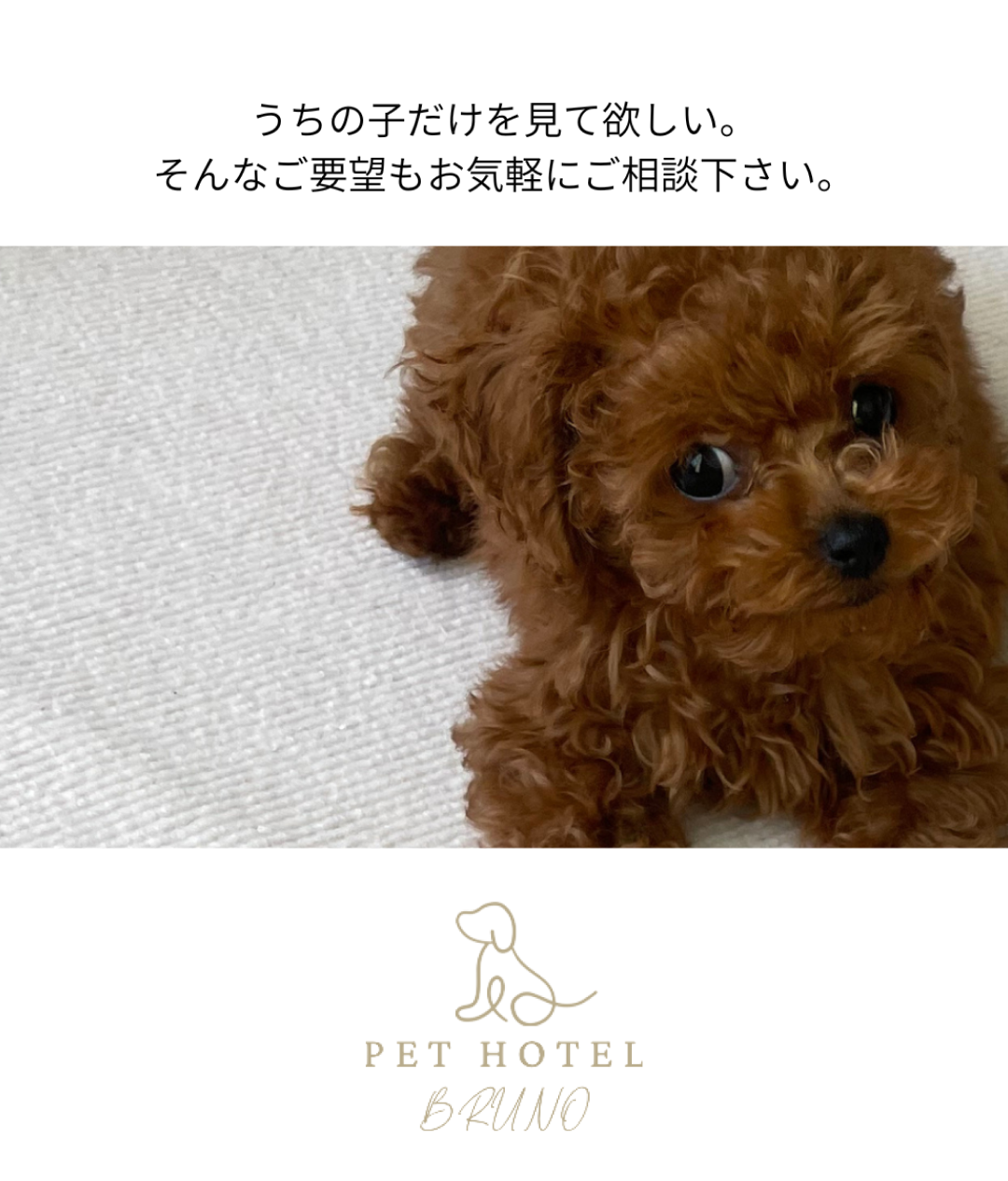 お気に入りのタオルケットで安心。