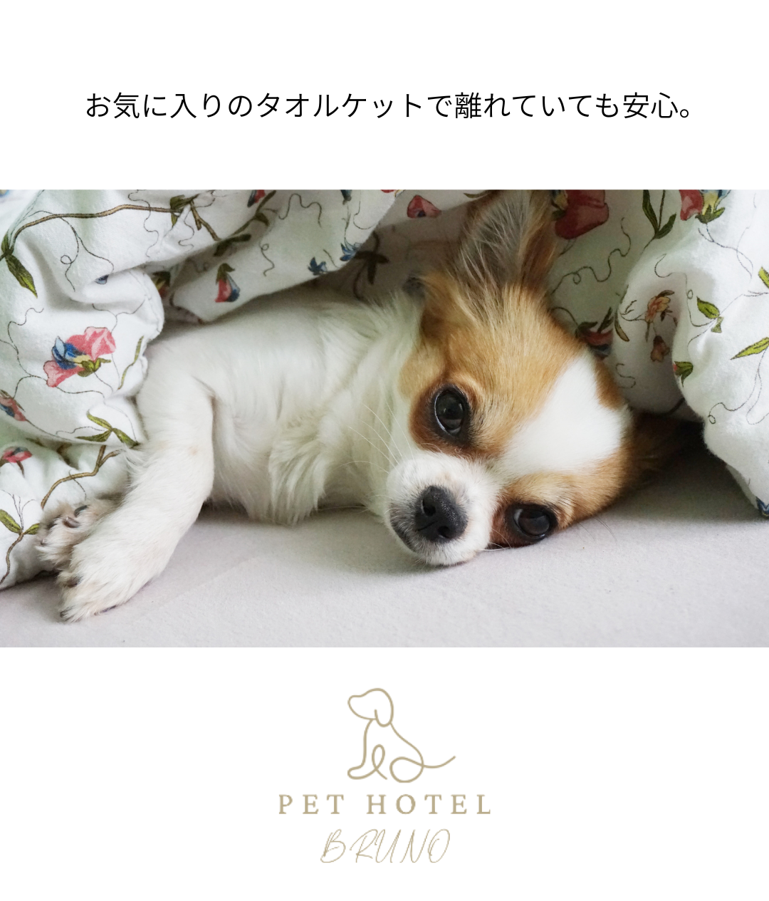 お気に入りのタオルケットで安心。