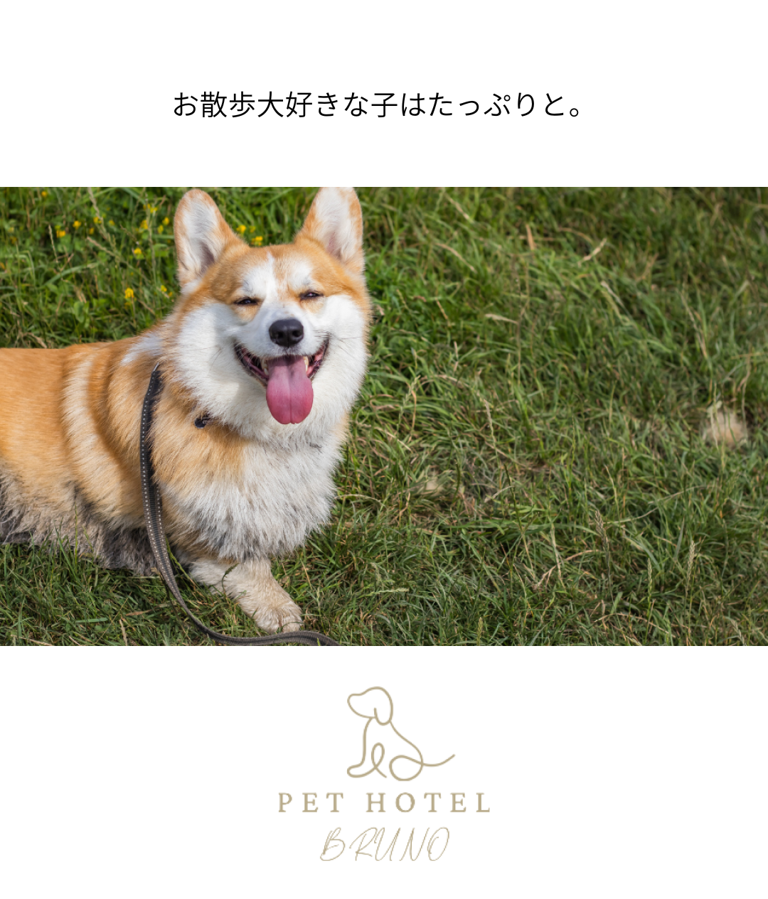 お気に入りのタオルケットで安心。